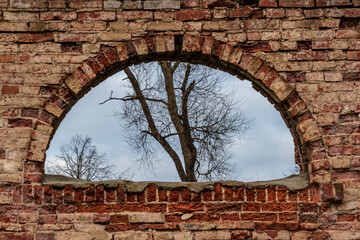 View of the tree through the arched window of the stable