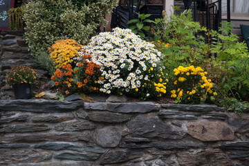 Colorful flowers on a rock wall