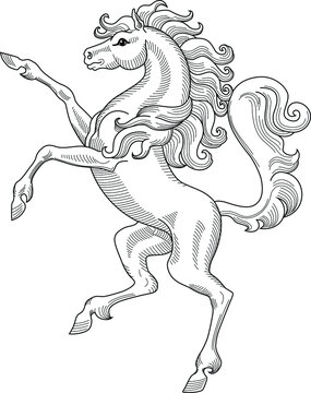 Beautiful Horse.Heraldry. Hand Drawn Vector Illustration Isolated  On White. For Coloring Books, Pages.