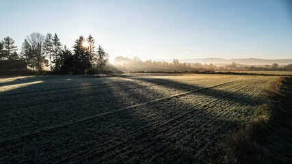 chilly mornint on a grassy meadow