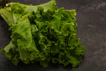 Green lettuce salad heap leaves