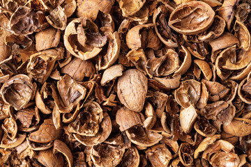Walnut shells as a background. Texture of empty broken walnut shells. Biodegradable food waste and peelings. Nut crop concept. Full frame.
