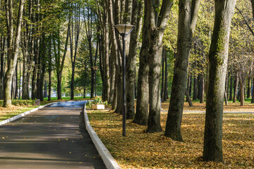 Sunny view of park of holiday hotel near Klyazma reservoir, Moscow region, Russia.