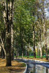 Obraz premium Sunny view of park of holiday hotel near Klyazma reservoir, Moscow region, Russia.