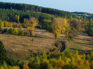 Beautiful landscape view of hillsides at the fall time with forest in vibrant colors