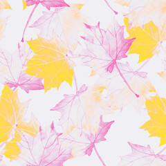 Fototapeta na wymiar Maple leaves.Assorted autumn leaves.Art.Picture on white and colored background.
