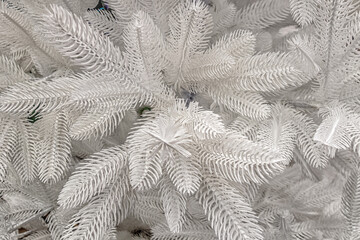 festive christmas background of white artificial fir tree close up