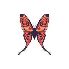 Cartoon icon of exotic beautiful butterfly flat vector illustration isolated.