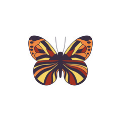 Cartoon exotic butterfly in red and yellow flat vector illustration isolated.