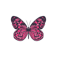 Vector icon of simple butterfly with abstract symmetrical ornament on open wings