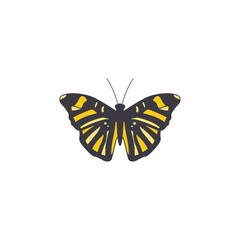Butterfly with striped black and yellow wings flat vector illustration isolated.