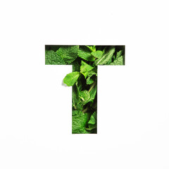 Letter T of English alphabet of green mint natural leaf and cut paper isolated on white. Leaves typeface for decoration