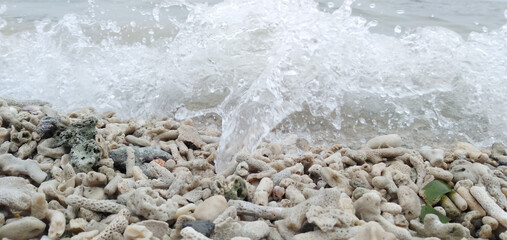 sea waves on the beach with coral