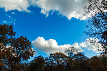 Obraz premium sky and clouds