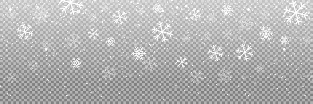Falling snow on a transparent background. Snow. Snowfall, snowflakes in different shapes and forms. Snowfall isolated on transparent background. Vector illustration
