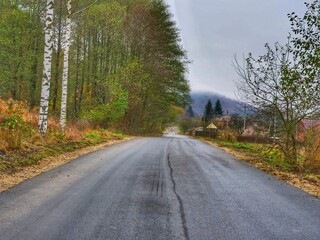 Fototapeta premium road in autumn