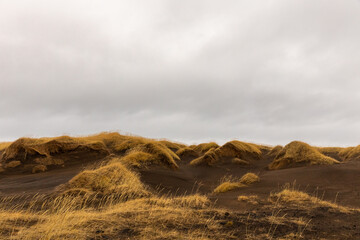 Fototapeta na wymiar cloudy day with sand dunes and grass on Reykjanes peninsula, Iceland