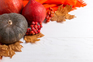 Bright orange warm shawl, pumpkins, berries and dry yellow leaves on a white background, autumn mood, copy space.