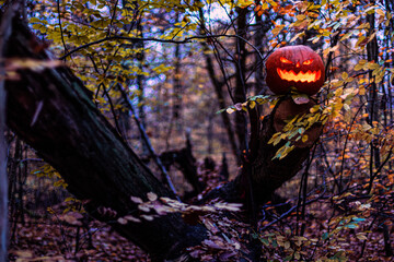 Carved Halloween pumkin on tour