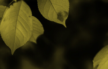 Fashionable classic neutral pantone colors of spring-summer 2021 season.