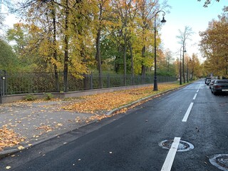 road in autumn