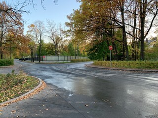 road in autumn