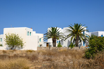 Typical white Cycladic architecture with palm trees on Folegandros island. Chora Town. Cyclades, Greece