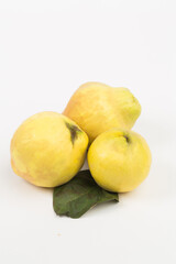 Quince fruit in studio
