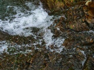 stream in the forest