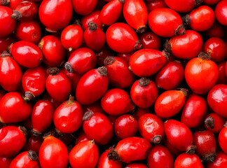 Fresh rose hips background. The view from top
