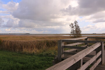 Blick von Zingst auf den Barther Bodden an der Ostsee