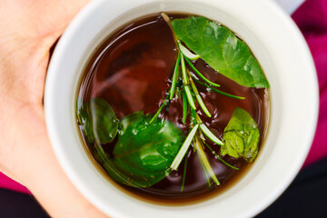 Hot Beverage with Green Leaves and Rosemary Herb