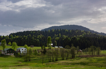 landscape with mountains and trees