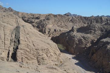 Desert of Sinai Peninsula, Egypt. Near Sharm El Sheikh