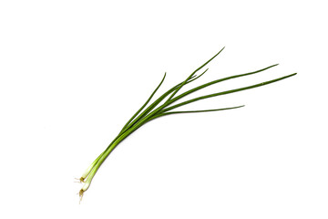 Fototapeta premium Green onion isolated on the white background