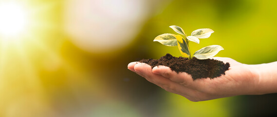Ecological friendly and sustainable environment