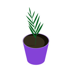 Isometric flower pot icon.Vector illustration isolated on white background.