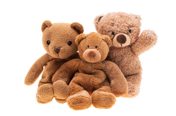 soft toy bear isolated