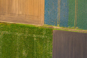 Luftaufnahme von eines Feldweges der von einem  umgepflügten Acker sowie mehreren Feldern mit den Farben grün, blau und braun