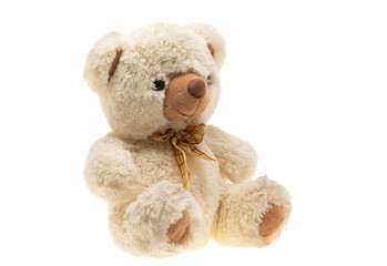 soft toy bear isolated