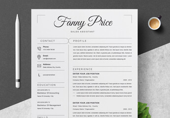 Professional CV Resume Layout