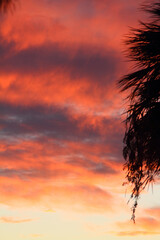 Dramatic red and orange sky and clouds abstract background. Red-orange clouds on sunset sky. Warm weather background.
