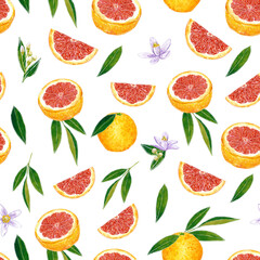 Red grapefruit seamless pattern, hand drawn botanical illustration isolated on white.