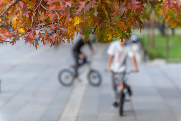 Autumn in the city