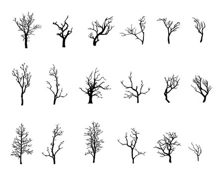 Collection of trees silhouettes without leaves isolated on white background. Black twisted branches. Illustration.