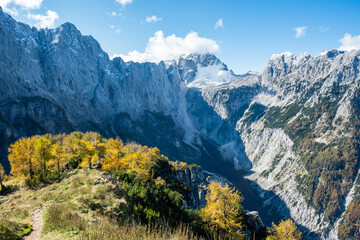 hiking in Slovenia with a beautiful mountain scenery in the Julian Alps with yellow larches and...