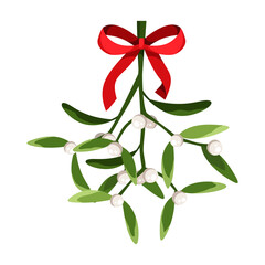 Vector Christmas mistletoe branch isolated on a white background.