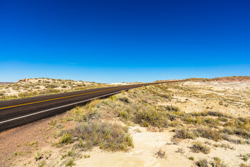 Arizona petrified forest