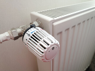 Battery temperature controller.  Thermostat closeup