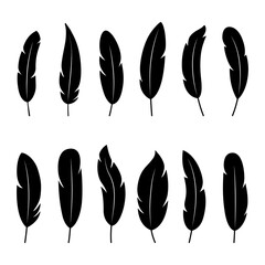 Set of black silhouettes of feathers on white background, vector illustration